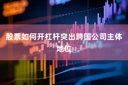 股票如何开杠杆突出跨国公司主体地位