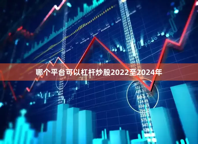 哪个平台可以杠杆炒股2022至2024年