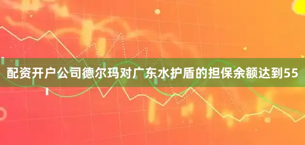 配资开户公司德尔玛对广东水护盾的担保余额达到55
